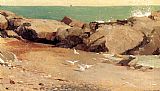 Winslow Homer Rocky Coast and Gulls painting